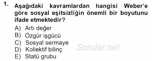 Yeni Toplumsal Hareketler 2012 - 2013 Dönem Sonu Sınavı 1.Soru