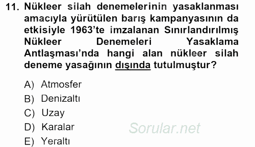 Yeni Toplumsal Hareketler 2012 - 2013 Dönem Sonu Sınavı 11.Soru