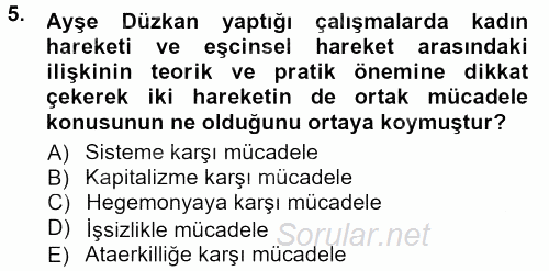 Yeni Toplumsal Hareketler 2012 - 2013 Dönem Sonu Sınavı 5.Soru