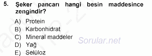Temel Yem Bilgisi ve Hayvan Besleme 2012 - 2013 Ara Sınavı 5.Soru