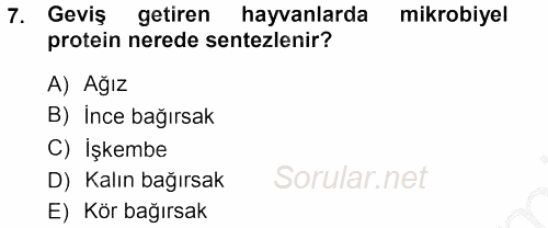 Temel Yem Bilgisi ve Hayvan Besleme 2012 - 2013 Ara Sınavı 7.Soru