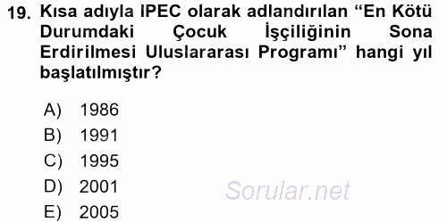 Sosyal Sorunlar 2015 - 2016 Dönem Sonu Sınavı 19.Soru