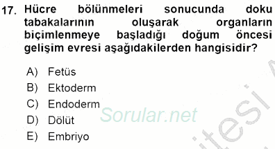 Erken Çocukluk Döneminde Gelişim 1 2015 - 2016 Ara Sınavı 17.Soru