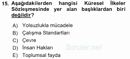 Kurumsal Sosyal Sorumluluk 2015 - 2016 Dönem Sonu Sınavı 15.Soru