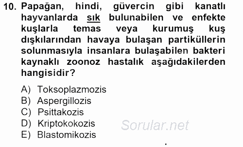 Hijyen ve Sanitasyon 2012 - 2013 Dönem Sonu Sınavı 10.Soru
