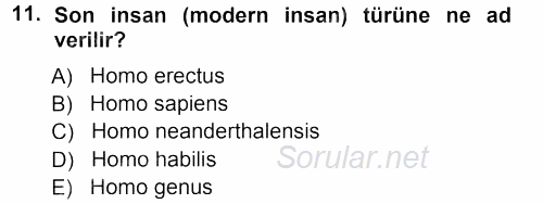 Uygarlık Tarihi 1 2012 - 2013 Ara Sınavı 11.Soru