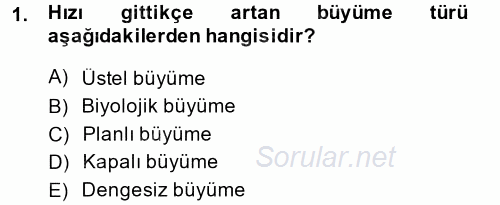 İktisadi Büyüme 2013 - 2014 Ara Sınavı 1.Soru