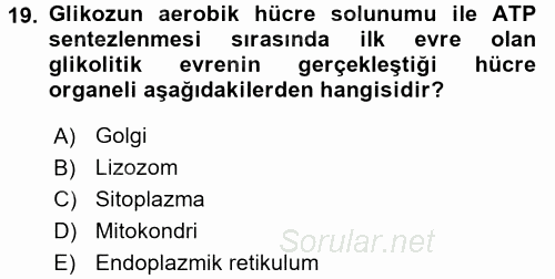 Hücre Kimyası 2015 - 2016 Tek Ders Sınavı 19.Soru