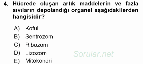 Hücre Kimyası 2015 - 2016 Tek Ders Sınavı 4.Soru