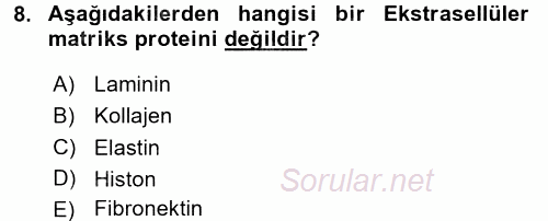 Hücre Kimyası 2015 - 2016 Tek Ders Sınavı 8.Soru