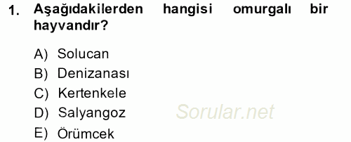 Okulöncesinde Fen Eğitimi 2013 - 2014 Dönem Sonu Sınavı 1.Soru