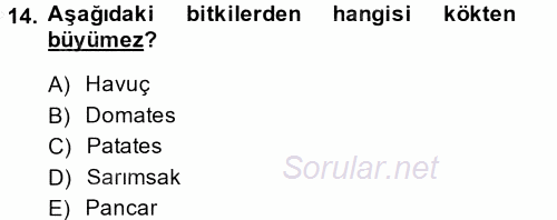 Okulöncesinde Fen Eğitimi 2013 - 2014 Dönem Sonu Sınavı 14.Soru