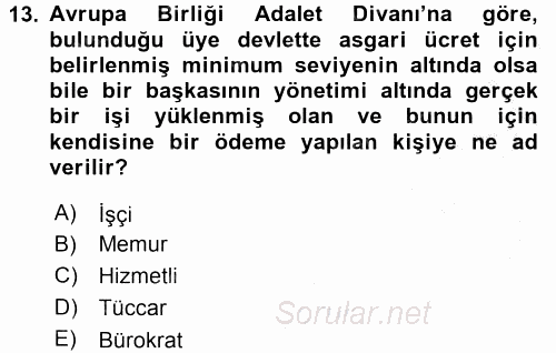 Avrupa Birliği ve Türkiye İlişkileri 2016 - 2017 3 Ders Sınavı 13.Soru