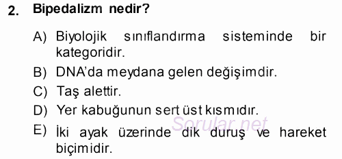 Uygarlık Tarihi 1 2014 - 2015 Tek Ders Sınavı 2.Soru