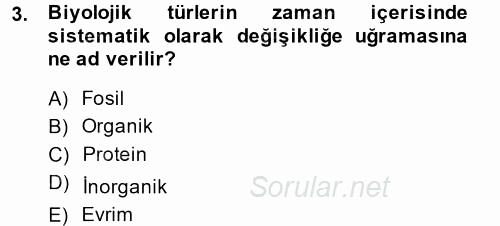 Uygarlık Tarihi 1 2014 - 2015 Tek Ders Sınavı 3.Soru