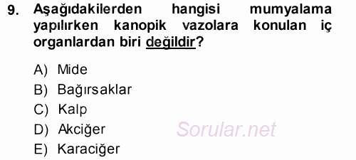 Uygarlık Tarihi 1 2014 - 2015 Tek Ders Sınavı 9.Soru