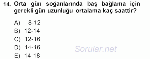 Bahçe Tarımı 2 2013 - 2014 Dönem Sonu Sınavı 14.Soru