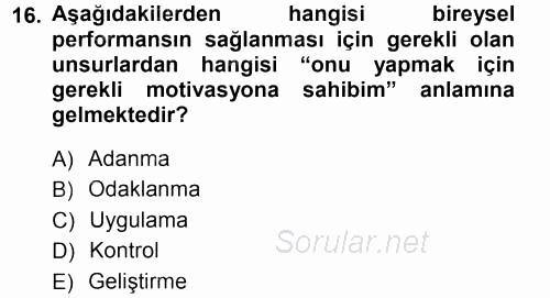 Performans ve Kariyer Yönetimi 2012 - 2013 Ara Sınavı 16.Soru