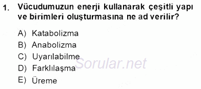 İnsan Anatomisi Ve Fizyolojisi 2014 - 2015 Ara Sınavı 1.Soru