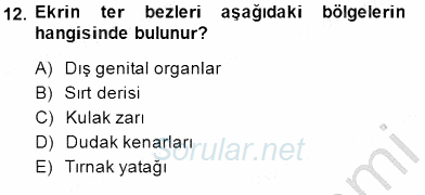 İnsan Anatomisi Ve Fizyolojisi 2014 - 2015 Ara Sınavı 12.Soru