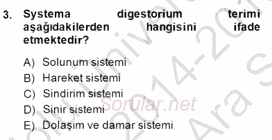 İnsan Anatomisi Ve Fizyolojisi 2014 - 2015 Ara Sınavı 3.Soru