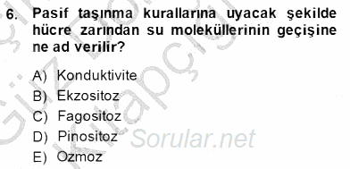 İnsan Anatomisi Ve Fizyolojisi 2014 - 2015 Ara Sınavı 6.Soru