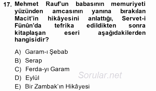 II. Abdülhamit Dönemi Türk Edebiyatı 2014 - 2015 Ara Sınavı 17.Soru