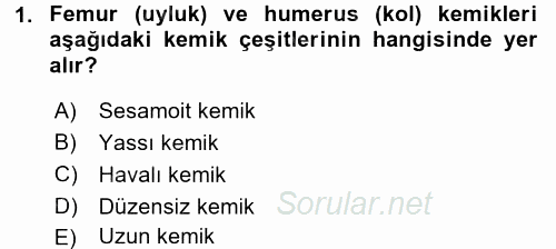 İnsan Beden Yapısı Ve Fizyolojisi 2017 - 2018 3 Ders Sınavı 1.Soru