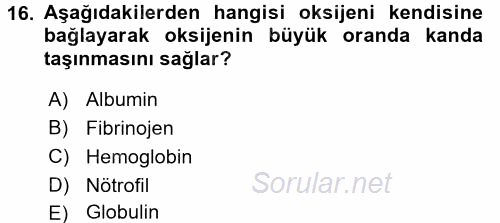 İnsan Beden Yapısı Ve Fizyolojisi 2017 - 2018 3 Ders Sınavı 16.Soru