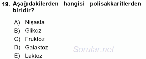 İnsan Beden Yapısı Ve Fizyolojisi 2017 - 2018 3 Ders Sınavı 19.Soru