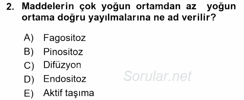 İnsan Beden Yapısı Ve Fizyolojisi 2017 - 2018 3 Ders Sınavı 2.Soru