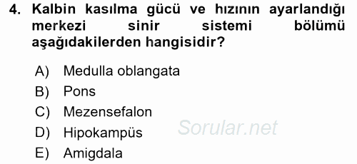 İnsan Beden Yapısı Ve Fizyolojisi 2017 - 2018 3 Ders Sınavı 4.Soru