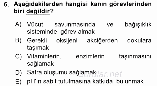 İnsan Beden Yapısı Ve Fizyolojisi 2017 - 2018 3 Ders Sınavı 6.Soru