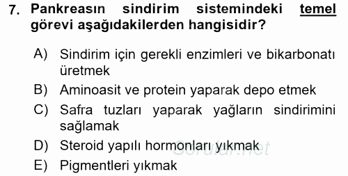 İnsan Beden Yapısı Ve Fizyolojisi 2017 - 2018 3 Ders Sınavı 7.Soru