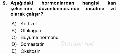 İnsan Beden Yapısı Ve Fizyolojisi 2017 - 2018 3 Ders Sınavı 9.Soru