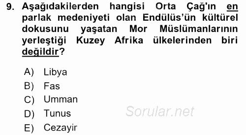Modern Ortadoğu Tarihi 2016 - 2017 Dönem Sonu Sınavı 9.Soru