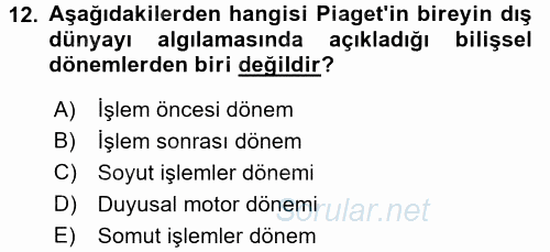Çocuk, Bilim Ve Teknoloji 2016 - 2017 Ara Sınavı 12.Soru