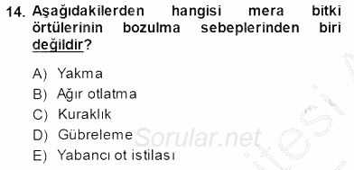 Ekoloji ve Çevre Bilgisi 2014 - 2015 Ara Sınavı 14.Soru