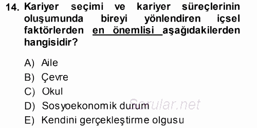 Performans ve Kariyer Yönetimi 2014 - 2015 Tek Ders Sınavı 14.Soru