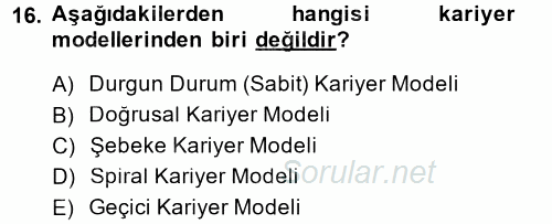 Performans ve Kariyer Yönetimi 2014 - 2015 Tek Ders Sınavı 16.Soru