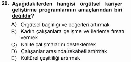 Performans ve Kariyer Yönetimi 2014 - 2015 Tek Ders Sınavı 20.Soru