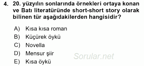 Yeni Türk Edebiyatına Giriş 1 2017 - 2018 Dönem Sonu Sınavı 4.Soru
