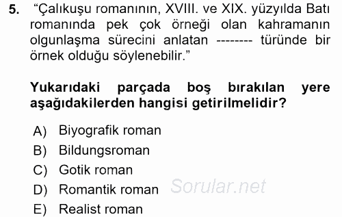 Yeni Türk Edebiyatına Giriş 1 2017 - 2018 Dönem Sonu Sınavı 5.Soru
