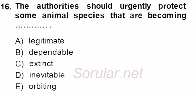 İleri Okuma Ve Yazma Becerileri 1 2014 - 2015 Dönem Sonu Sınavı 16.Soru