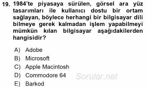 Görsel Kültür 2015 - 2016 Tek Ders Sınavı 19.Soru