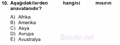 Tarla Bitkileri 1 2014 - 2015 Dönem Sonu Sınavı 10.Soru