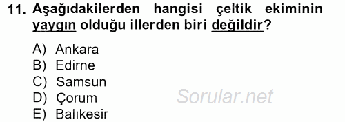 Tarla Bitkileri 1 2014 - 2015 Dönem Sonu Sınavı 11.Soru