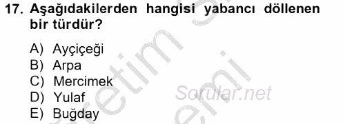 Tarla Bitkileri 1 2014 - 2015 Dönem Sonu Sınavı 17.Soru