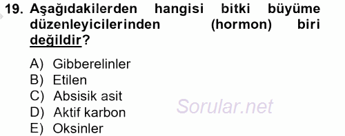 Tarla Bitkileri 1 2014 - 2015 Dönem Sonu Sınavı 19.Soru
