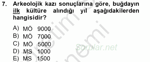 Tarla Bitkileri 1 2014 - 2015 Dönem Sonu Sınavı 7.Soru